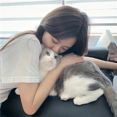 狐狸猎手
