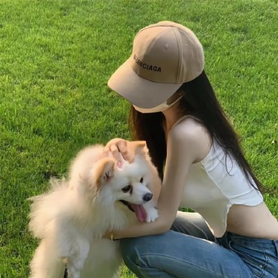 百日蔷薇
